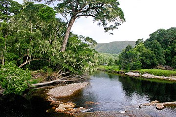 Река Гроот в Нейчерс-Валли, окрашенная в чайный цвет танинами растений