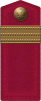 Поперечная нашивка на погоне фельдфебеля Первый или Четвертый лейб-гвардейские стрелковые полки (погон образца 1914 года).