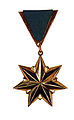 Золотая звезда первого типа (до 1998 года)