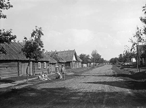 Деревня Куровицы. 1911 год