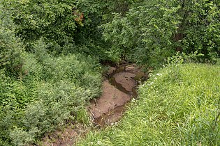 В лесах у села Дмитриевского.