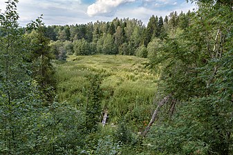 Характерный ландшафт речной долины в низовьях реки.