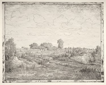 Теодор Руссо, La Plaine de la Plante à Biau, 1867 г.