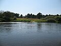 Река Жиздра в районе села Чернышено