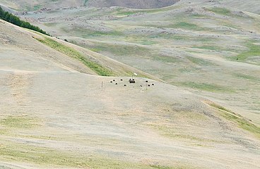 Группа тагылов в составе комплекса. Южный Алтай. Коновязь с северной стороны.