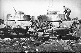 Подбитые танки дивизии в районе Бобруйска (1944 год)