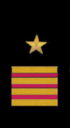 нарукавный знак ВМФ