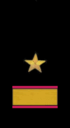 нарукавный знак ВМФ