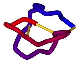 Принципиальная схема трёхмерной структуры ω-конотоксина MVIIA (зиконотида). Дисульфидная связь показана золотистым цветом.