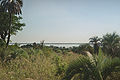 Вид аллювиальной равнины вдоль реки Парана.