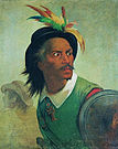 Портрет индейского полководца Антонио Филипе Камарао (1874/1878)
