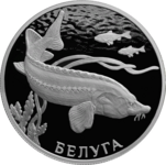 Серебряная монета Банка России «Белуга» из серии «Красная книга».