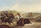 Охота на бизонов. Акварель, 1839 г.
