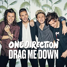 Обложка сингла One Direction «Drag Me Down» (2015)