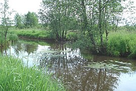 Река Понорь рядом с деревней