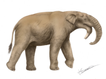 Deinotherium bozasi, реконструкция