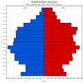 Возрастная структура населения Фридек-Мистека в 2011 году