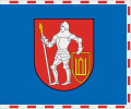 Флаг Тракайского района, 1998 г.