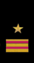 нарукавный знак ВМФ