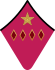 Армейский комиссар 1-го ранга РККА, 1935—1942