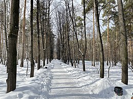 Парк зимой