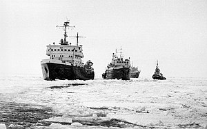 Ледокол «Пурга» проекта 97 (на переднем плане) осуществляет ледокольную проводку судов: за «Пургой» следуют производственные рефрижераторы (рыболовные морозильные суда) проекта 1361 — вторым идёт судно «Остров», 1970 год.