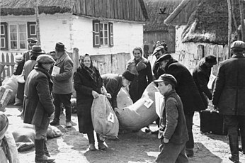 Прибытие в Вартеланд немцев-крестьян, май 1940 г.