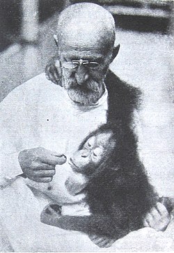 М. А. Величковский с орангутаном Фриной. Московский зоопарк, 1928
