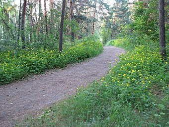 Звериноголовский район, Курганская область