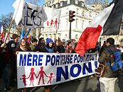 «Манифистация для всех», Париж, 2 февраля 2014 года