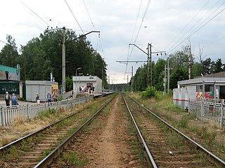 Вид в сторону Санкт-Петербурга, 2021 год