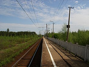 Вид в сторону Ладожского Озера