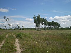 Въезд в Бугровой со стороны Мордвиново. 2014 г.