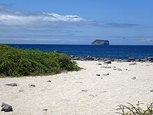 Пляж на острове Сеймур-Норте Галапагосского архипелага
