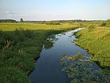 Педели возле мызы Паю, Эстония