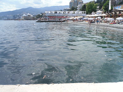 Ялта. Массандровский пляж. Нечистоты в воде.