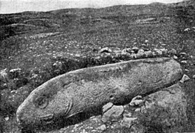 Вишапакар в форме рыбы (№ 2 стоянки Имирзек Гегамского хребта)