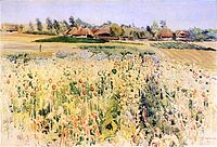 Маки, 1911