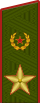 Повседневный погон генерала армии (1974-1991)