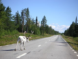 Е45 в Лапландии, Швеция