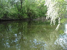 Вид реки в Красном Яру