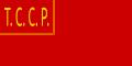 Флаг Туркестанской Автономной Социалистической Советской Республики с 1919 по 1921 год.