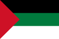 Данный флаг использовался в послевоенные годы при Арабской администрации (1918-1920 гг.)