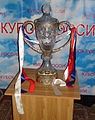 Кубок России (вариант 2010 года)