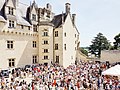 Фотография, демонстрирующая толпу во время мероприятия Anjou Vélo Vintage.