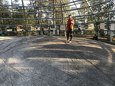 Экскурсия в музее «Петроглифы Канозера»