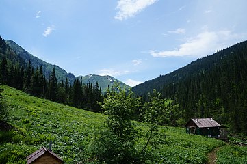 Байкальский заповедник