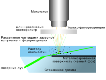 Схема измерений флуоресцирующих частиц в методе анализа траекторий наночастиц.