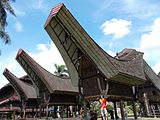 Дом тораджей (Южный Сулавеси)