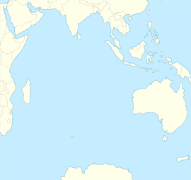 Большеглазая белокровка (Индийский океан)